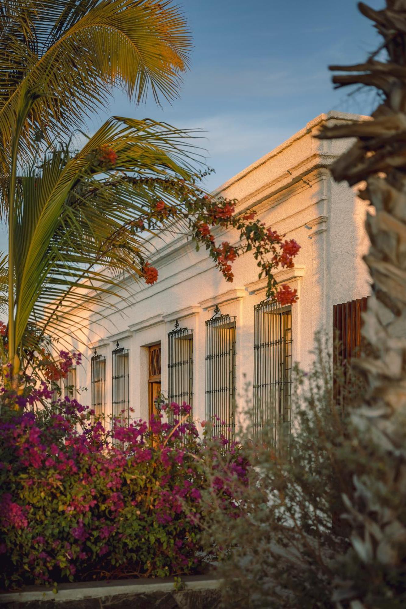Baja Club Hotel, La Paz, Baja California Sur, A Member Of Design Hotels Екстериор снимка